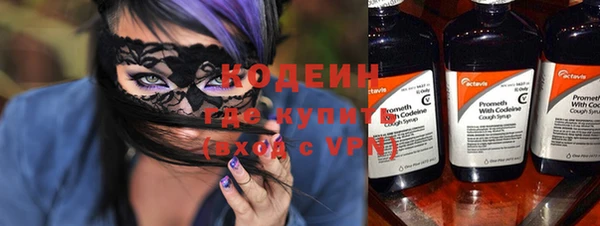 сатива Инта