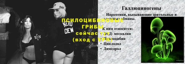 ешки Каменск-Шахтинский