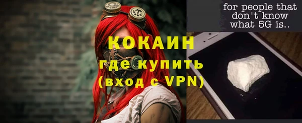 mdpv Каменка