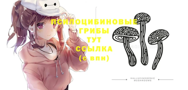 соль ск Каменногорск