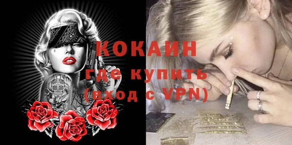 mdpv Каменка