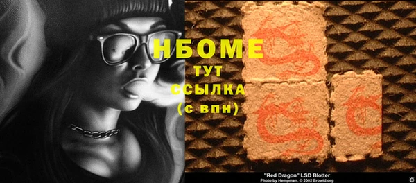 сатива Инта