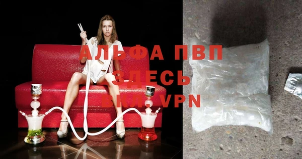 сатива Инта