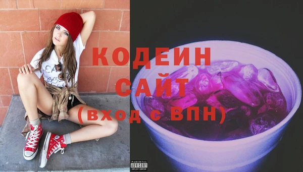 сатива Инта