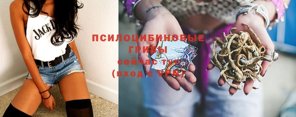 метадон Карпинск