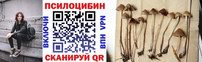 Купить где  Завитинск  Псилоцибиновые грибы Magic Shrooms 